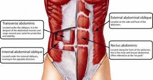 Pin On Health And Exercise