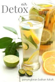 Detox Atau Detoksifikasi Adalah Merupakan Suatu Proses Pembersihan Tubuh Daripada Segala Macam Kotoran Dan Racun Menu Sarapan Sehat Minuman Detoks Diet Detoks