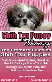 Maybe you would like to learn more about one of these? Shih Tzu Puppy Training The Ultimate Guide On Shih Tzu Puppies What To Do When You