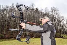 Image result for compound bow