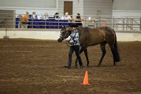 Now that we are home and rested up, let's cap our 2023 GA Federation of  Saddle Clubs State Horse Show! We had two returning teams and one brand new  team to join