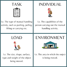 Environmental Considerations For Manual Handling Cardinus