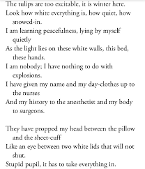 Tulips In 2020 Tulips Sylvia Plath Peace