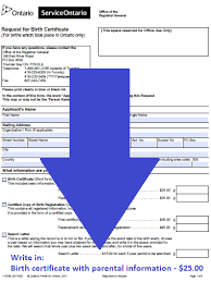 Where, exactly, does uscis state thst you cannot translate your own document? Parental Recognition Lgbtq Parenting Network