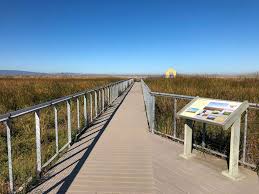 Paved trails lead past the golf course, around the lake, and along the tidal marshes and salt ponds. Alviso Marina County Park Roadside Secrets