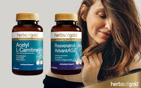 Ageless Wellness: Exploring the Benefits of Acetyl L-Carnitine and  Resveratrol in Holistic Health Journeys