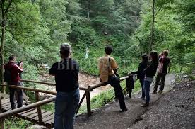 De multe ori ne dorim să vizităm locuri inedite, mergând cât mai departe de obișnuit, uitând cât de impresionate pot fi oradea bucket list: Iubitorii Calatoriilor In Natura Pot Merge Saptamanal In Excursii Prin Judetul Bihor Pentru A Vizita Tara Beiusului Si Muntii Apuseni Ecomagazin Ro