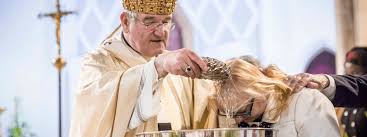The catholic church has ordinary ministers for sacraments and those are bishops, priests, and sometimes deacons. Becoming A Catholic Interested In The Catholic Not Sure How To Become A Catholic