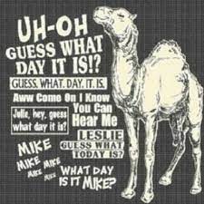 Parody geico camel hump day commercial: Alexandria On Twitter Funny Quotes I Love To Laugh Humor