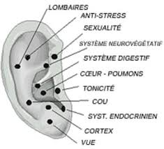 Points Auriculotherapie Les Points D Acupression Sur L Oreille Reflexologie Oreille Acupression Acuponcture