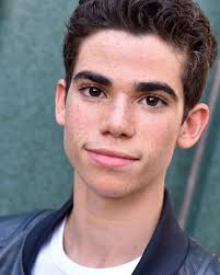 Happy belated birthday to Cameron Boyce, he would've turned 26 yesterday 🕊️