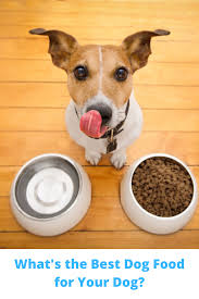 Pet food can be used to increase a pet's stats, although an increase is not certain. Answers Pet Food Product Guide Guide At Pets Share Real Com
