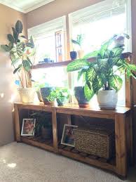 Window Plant Stand Window Plants Living Room Plants Plant Stand Indoor
