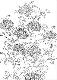 Fiori E Vegetazione 86147 Fiori E Vegetazione Disegni Da