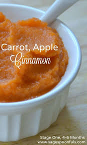 One Of The Best Things About Baby Food Is That It Doesn T Need To Be Fancy This Carrot Mixed With Appl Baby Food Recipes Healthy Baby Food Pureed Food Recipes