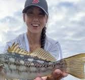 The Fish Species: Calico Bass A.K.A Kelp Bass , Legal Size Limit: 14 inches  (in California), Legal Bag Limit: 5 per day, Habitat: Rocky, Reefy areas  that are mixed with sandy bottoms and kelp beds. , ...