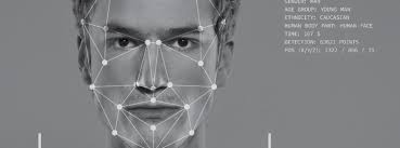 Look at the Camera for Entry”