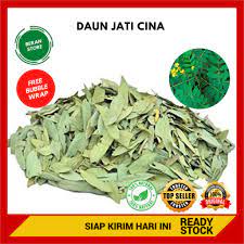 Daun jati china mengandung zat laxative yaitu sebagai obat sekilas mengenai daun jati belanda mempunyai nama latin gauzuma ulmifolia. 150g Daun Jati Cina Senna Leaf Atasi Perut Buncit Obesitas Detox Tubuh Kolesterol Teh Pelangsing Shopee Indonesia