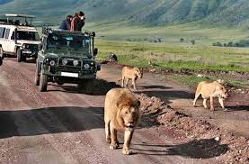 Africa Natural Tours - Safari Deal
