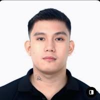 50+ "Albert Nicolas" profiles