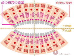 http kenko waza com wp content uploads 2014 04 b6eb901abd957b968d37a6a130603e6a jpg 頭 ツボ 経絡 ツボ