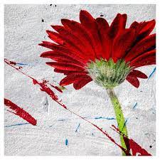 Red Gerbera Photo Red Graffiti Paint Red Flower Wall Art 35 Liked On Polyvore Graffiti Painting Graffiti Painting