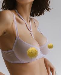 Erotic Harness Bra Purple Mesh Bra Hot Lingerie Gift for Wife Sheer See  Through Lingerie Sexy Lingerie Transparent Bra Nude Lingerie - Etsy