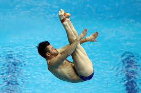 What does olympic diving mean? David Boudia Steele Johnson Try To Gain Olympic Diving Spot For Team Usa