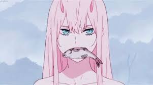 2 weeks ago 2 weeks ago. Zero Two Album On Imgur