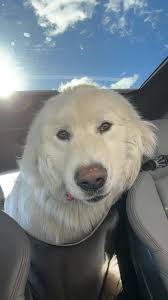 Would anybody be willing to go take a couple bags of ice or blocks of ice  to my brother so he can keep things cold?