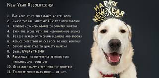 New Year Resolutions New Years Resolution Funny New Years Resolution Funny New Year