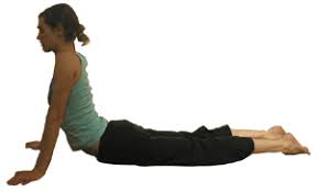 The stomach is connected our. Sphinx Seal Yin Yoga