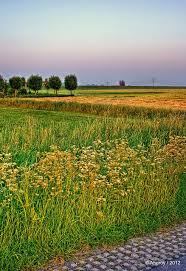 Groninger Landschap Compositie Groningen The Netherlands Europe Groningen Landschap En Landschappen