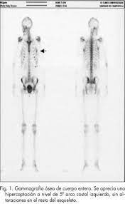 Pin En Human Body