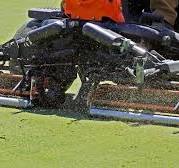 Grooming, Verticutting and Vertigrooming: Similarities ...