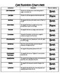 Check spelling or type a new query. Cell Organelles Chart Worksheets Teaching Resources Tpt