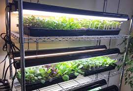 We did not find results for: Want To Garden Like A Pro Here S A Simple And Affordable Indoor Grow Light Setup Growjourney