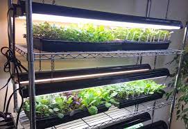 They'll also help keep your favorite plants alive during the long winter month. Want To Garden Like A Pro Here S A Simple And Affordable Indoor Grow Light Setup Growjourney