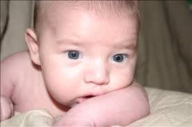 Gavin Krueger Obituary (2008)