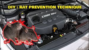 They can destroy engines, and even car seats, if they unluckily get inside. Diy How To Rat Proof Your Car Youtube