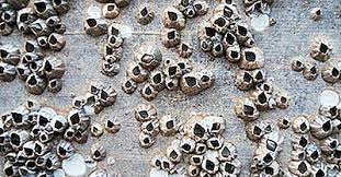 Rezultatul final este o listă de cuvinte. Fobii NeobiÈ™nuite È™i NeobiÈ™nuite 2021