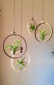 X4 Hanging Plant Holder Gift For Plant Lover Indoor Plant Etsy In 2021 Air Plants Decor Hanging Air Plants Plant Decor