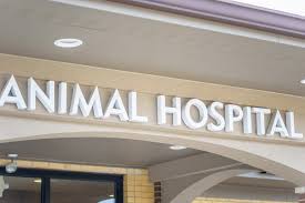 Pals east bay in oakland; Can T Afford Veterinary Care Oakland Veterinary Referral Services