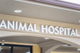 Some of the services we provide include: Can T Afford Veterinary Care Oakland Veterinary Referral Services