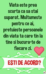 Viața Este Prea Scurtă Ca Să Stai Supărat Viral Pe Internet Cool Words Quotations Words