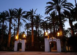 Veelgestelde vragen over palm groves (palmeral) of elche. Unesco World Heritage Centre Document Palmeral Of Elche