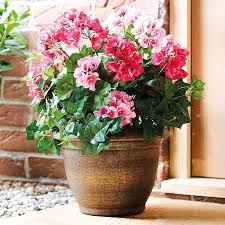 Maybe you would like to learn more about one of these? Artificial Potted Flowers Everlasting Flower Never Stops Blooming