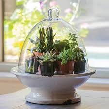Bonanza Find Everything But The Ordinary Terrarium Base Terrarium Glass Dome Cover
