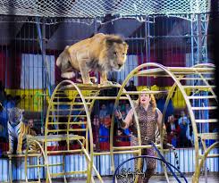 السيرك الروسي العالمي Posts Facebook