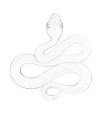If you need illustration of some other object feel free to write me at: Snake Drawing Eugenia Hauss